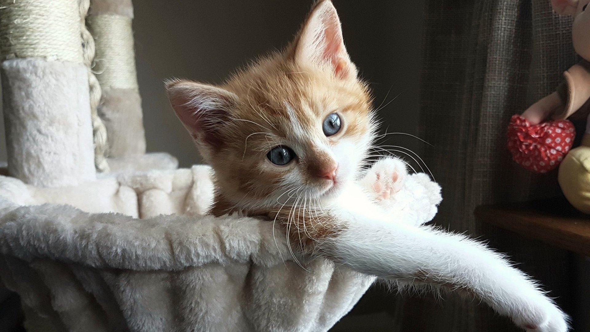 日本男足逆转获胜，士气大振，日本男足出线形势