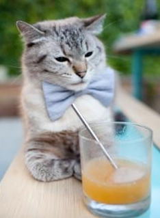 《王者荣耀跨国大战，海外战队挑战传统豪门》，王者荣耀海外对手