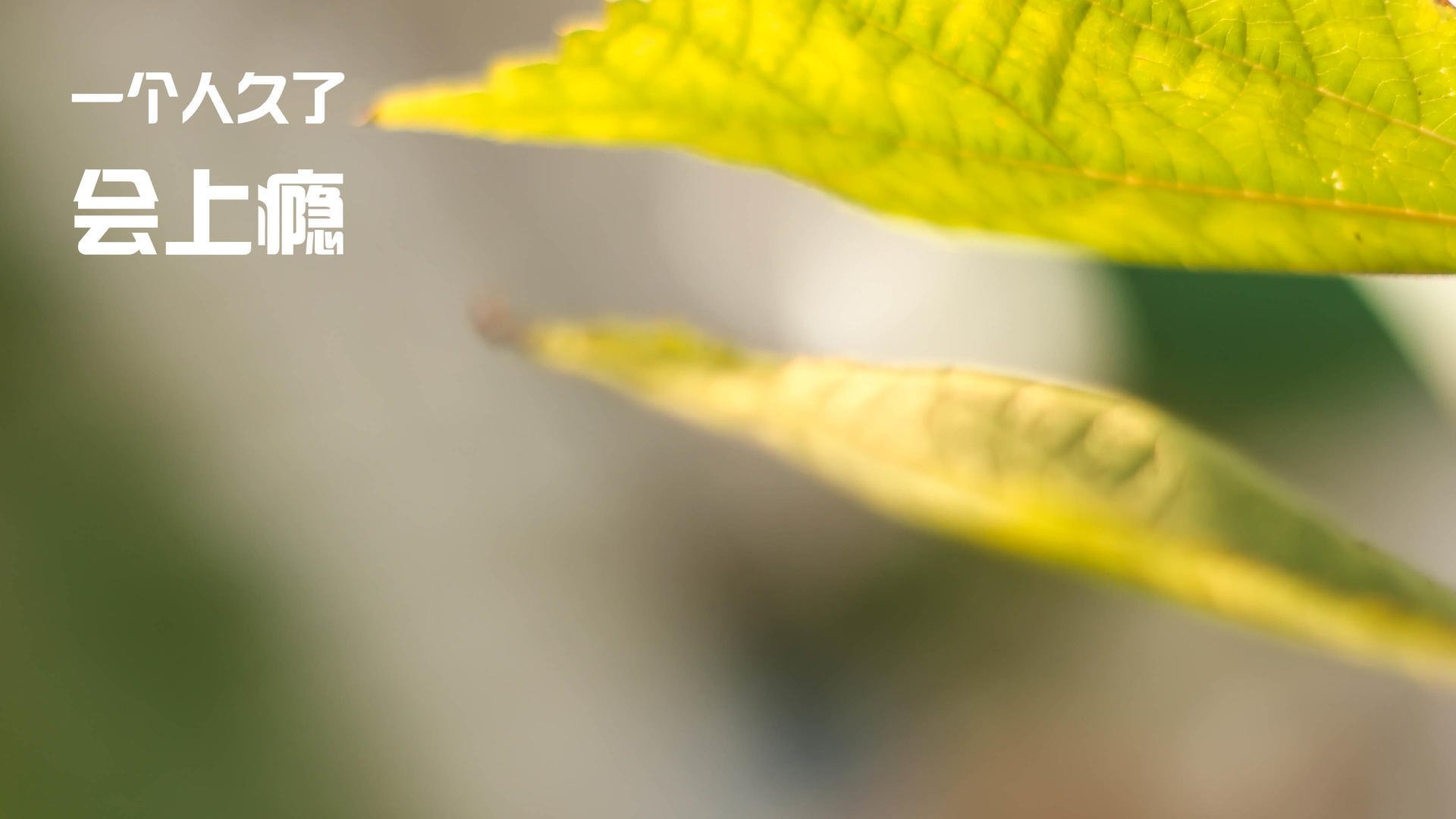 爱游戏体育账号注册-史上最年轻“冠军射手”，天赋成就未来，最年轻的射箭冠军